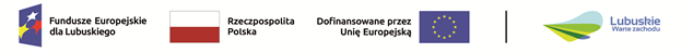 Fundusze Europejskie dla lubuskiego, Rzeczpospolita Polska, Dofinansowane przez Unię Europejscką