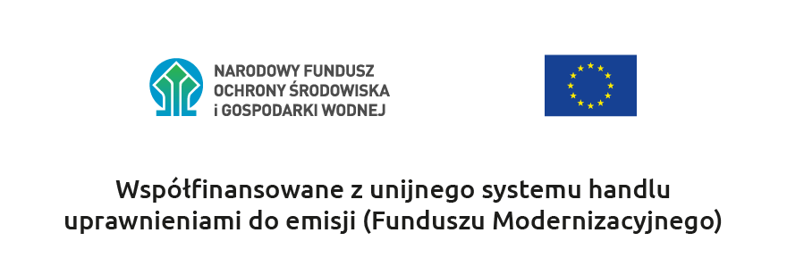 Współfinansowanie z unijnego systemu